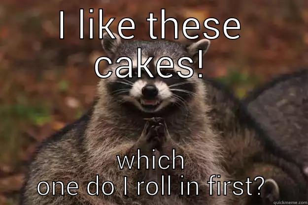 I LIKE THESE CAKES! WHICH ONE DO I ROLL IN FIRST? Evil Plotting Raccoon