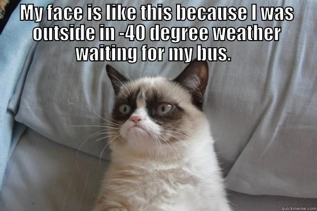 MY FACE IS LIKE THIS BECAUSE I WAS OUTSIDE IN -40 DEGREE WEATHER WAITING FOR MY BUS.    Grumpy Cat