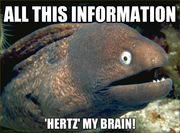 All this information 'hertz' my brain!  Bad Joke Eel