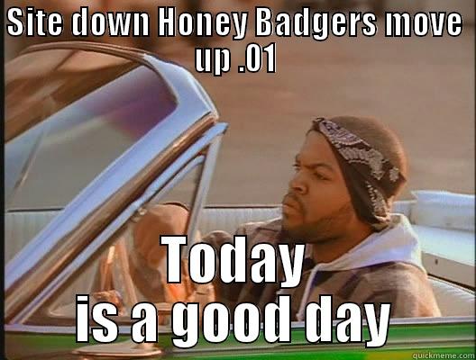 We Win  - SITE DOWN HONEY BADGERS MOVE UP .01 TODAY IS A GOOD DAY today was a good day