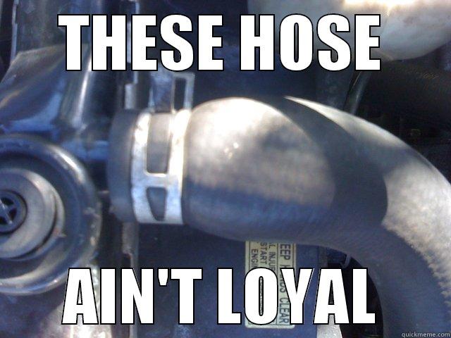 THESE HOSE AIN'T LOYAL Misc