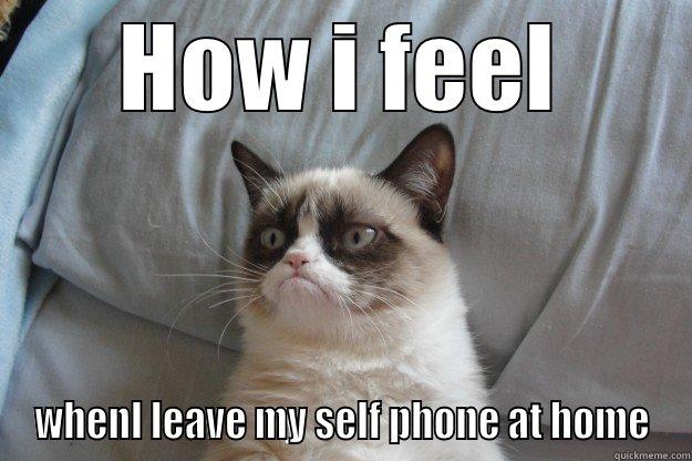 HOW I FEEL WHENI LEAVE MY SELF PHONE AT HOME Grumpy Cat