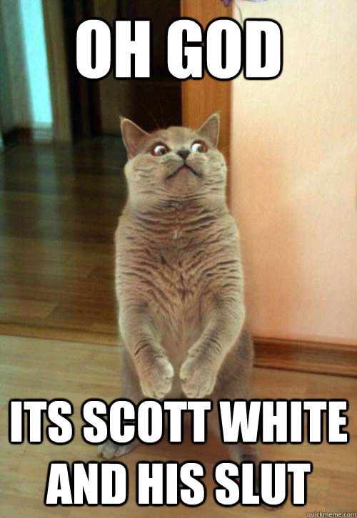 Oh god its scott white and his slut  Horrorcat