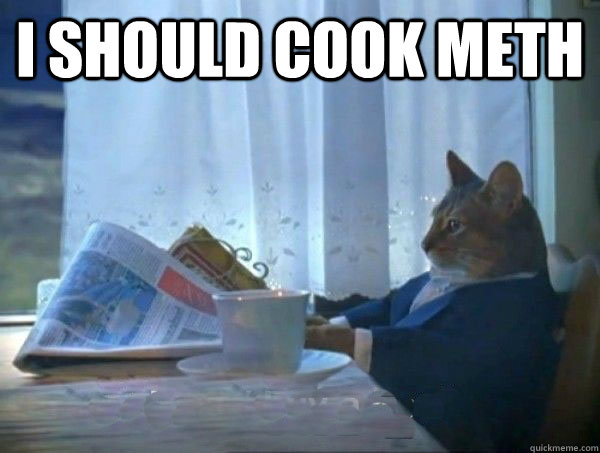 I should cook meth   morning realization newspaper cat meme