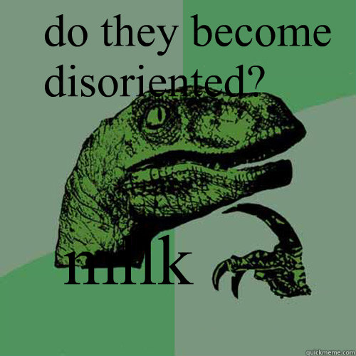 mllk do they become disoriented? - mllk do they become disoriented?  Philosoraptor