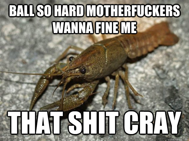 Ball so hard motherfuckers wanna fine me that shit cray  that fish cray