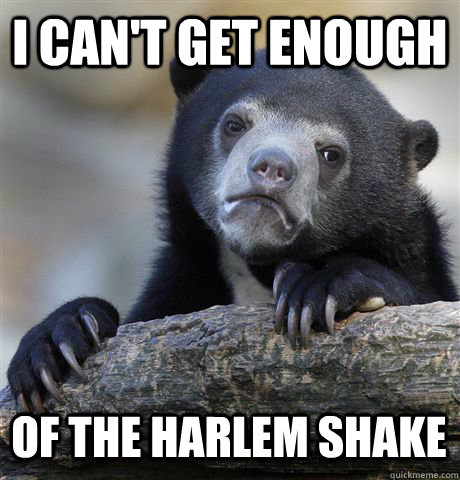 I CAN'T GET ENOUGH OF THE HARLEM SHAKE  Confession Bear