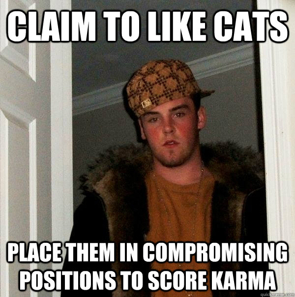 Claim to like cats place them in compromising positions to score karma  Scumbag Steve