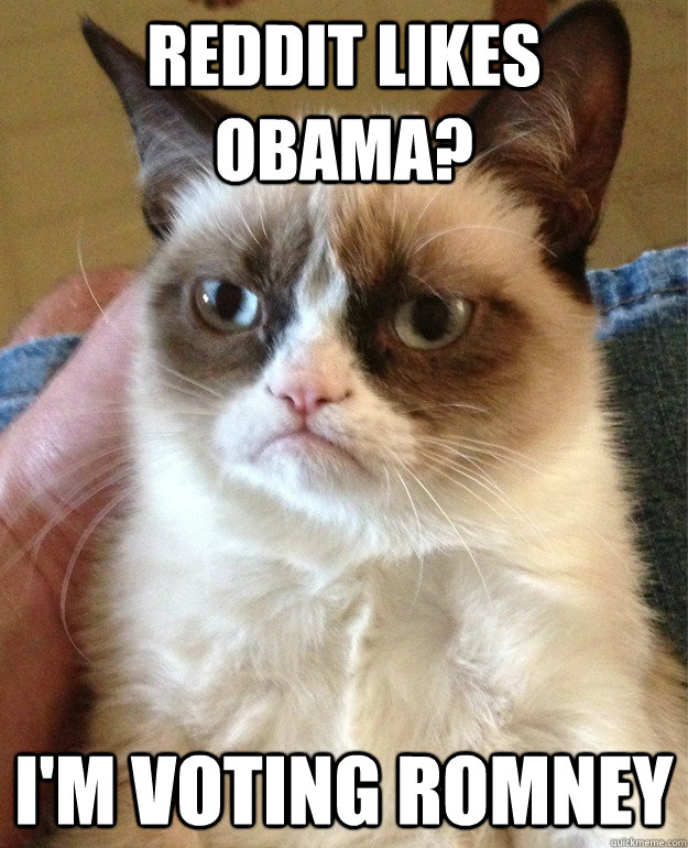 reddit likes obama? i'm voting romney  Grumpy Cat