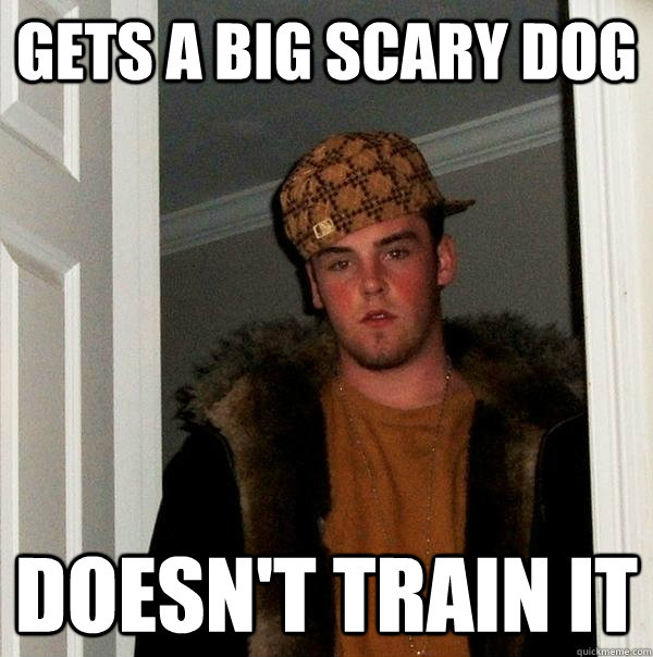 GETS a big scary dog doesn't train it  Scumbag Steve