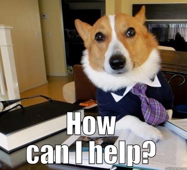  HOW CAN I HELP? Lawyer Dog