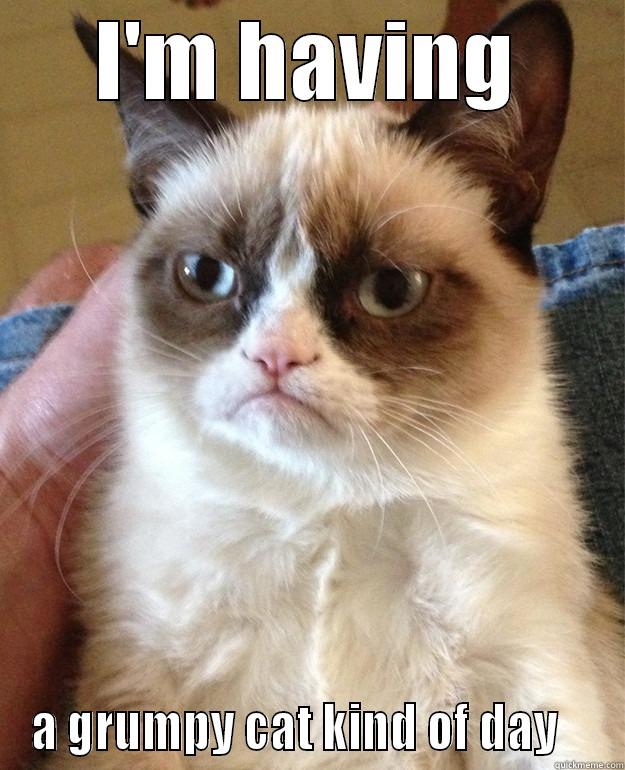 I'M HAVING A GRUMPY CAT KIND OF DAY    Misc