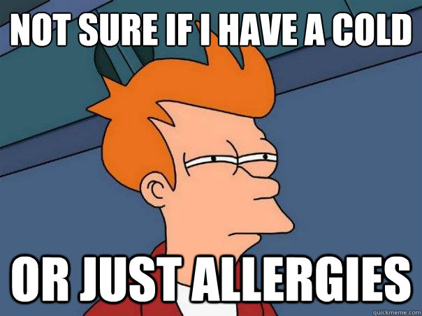 Not sure if I have a cold or just allergies  Futurama Fry