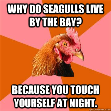 Why do seagulls live by the bay? because you touch yourself at night.  Anti-Joke Chicken