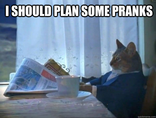 I should plan some pranks   morning realization newspaper cat meme