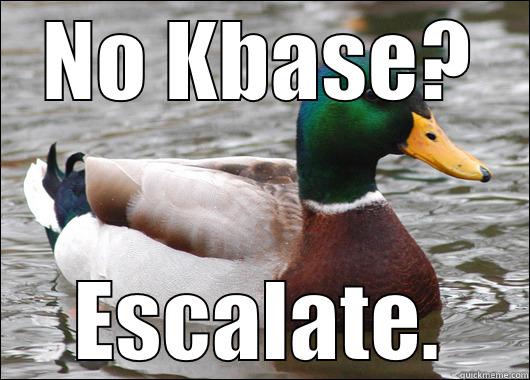 NO KBASE? ESCALATE. Actual Advice Mallard