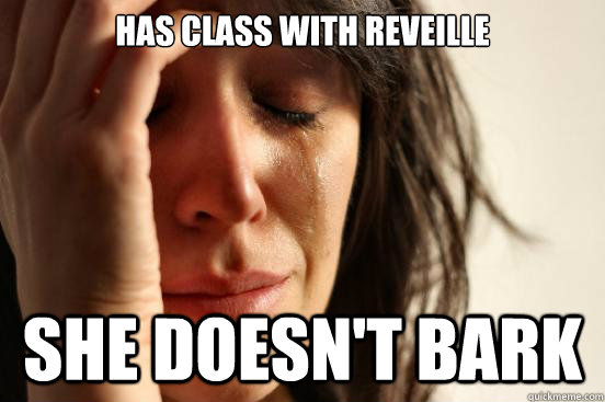 Has class with Reveille She doesn't bark  First World Problems