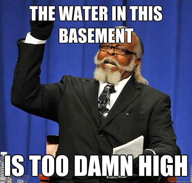 The water in this basement Is too damn high - The water in this basement Is too damn high  Jimmy McMillan