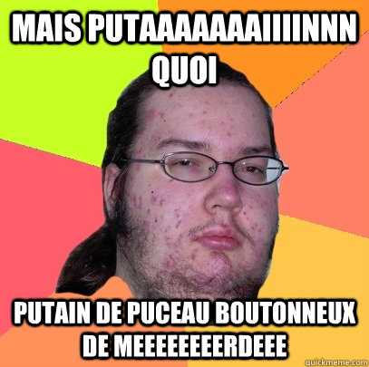 mais putaaaaaaaiiiinnn quoi putain de puceau boutonneux de meeeeeeeerdeee  Butthurt Dweller