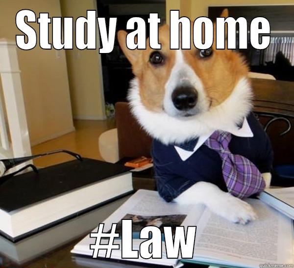 Top Dog  - STUDY AT HOME #LAW Lawyer Dog