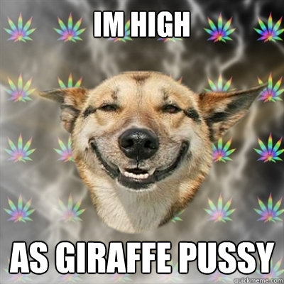 Im high as giraffe pussy  Stoner Dog