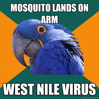 Mosquito lands on arm West Nile Virus - Mosquito lands on arm West Nile Virus  Paranoid Parrot