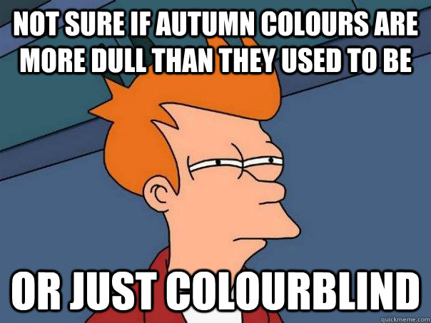 not sure if autumn colours are more dull than they used to be Or just colourblind - not sure if autumn colours are more dull than they used to be Or just colourblind  Futurama Fry