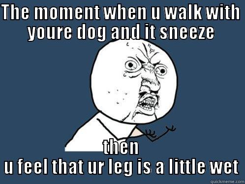 THE MOMENT WHEN U WALK WITH YOURE DOG AND IT SNEEZE THEN U FEEL THAT UR LEG IS A LITTLE WET Y U No