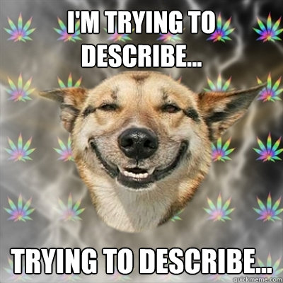 I'm trying to describe... trying to describe...  Stoner Dog