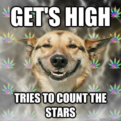 get's high tries to count the stars  Stoner Dog