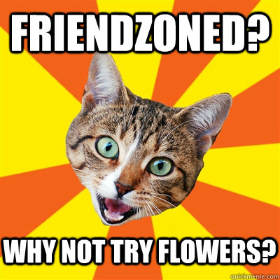 friendzoned? why not try flowers?  Bad Advice Cat