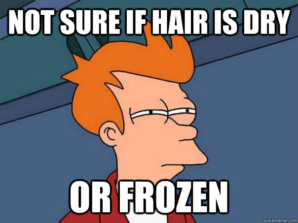 Not sure if hair is dry  or frozen  Futurama Fry