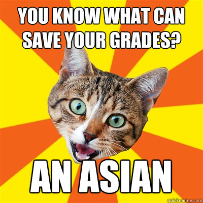 you know what can save your grades? An Asian  Bad Advice Cat