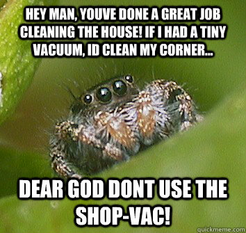 Hey man, Youve done a great job cleaning the house! If I had a tiny vacuum, Id clean my corner... DEar god dont use the shop-vac!  Misunderstood Spider