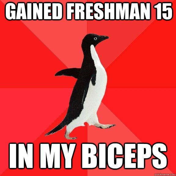 gained freshman 15 in my biceps  Socially Awesome Penguin