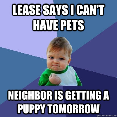 Lease says I can't have pets Neighbor is getting a puppy tomorrow  - Lease says I can't have pets Neighbor is getting a puppy tomorrow   Success Kid