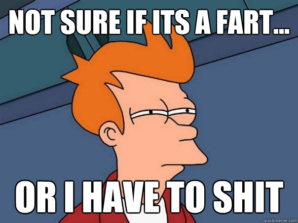 Not sure if its a fart... or i have to shit  Futurama Fry