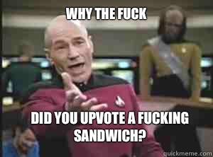 why the fuck Did you upvote a fucking sandwich?  Annoyed Picard