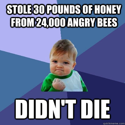 Stole 30 pounds of honey from 24,000 angry bees didn't die  Success Kid