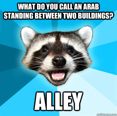 what do you call an arab standing between two buildings? alley  Lame Pun Coon