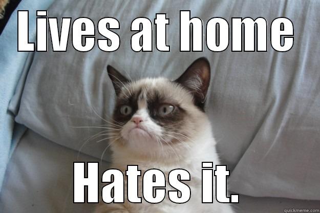 LIVES AT HOME HATES IT. Grumpy Cat