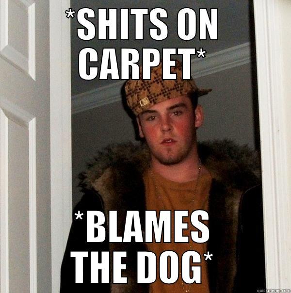 Oh well. - *SHITS ON CARPET* *BLAMES THE DOG* Scumbag Steve