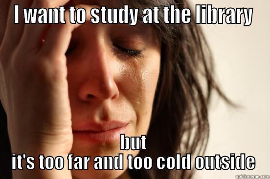 I WANT TO STUDY AT THE LIBRARY BUT IT'S TOO FAR AND TOO COLD OUTSIDE First World Problems