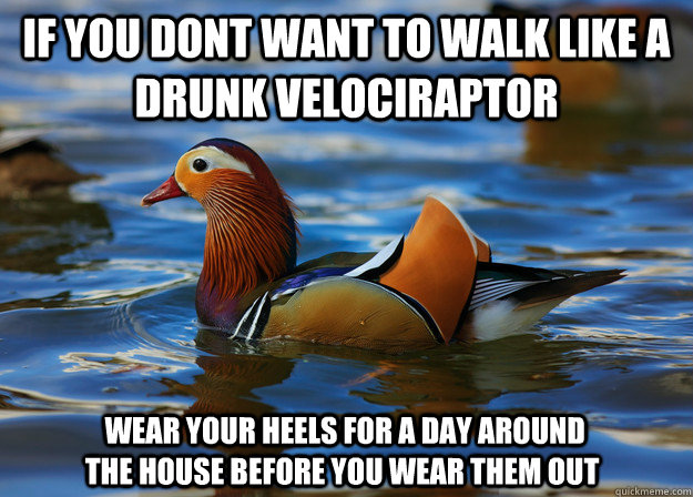 If you dont want to walk like a drunk velociraptor  Wear your heels for a day around the house before you wear them out  Fashion Advice Mallard