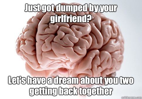 Just got dumped by your girlfriend? Let's have a dream about you two getting back together    Scumbag Brain