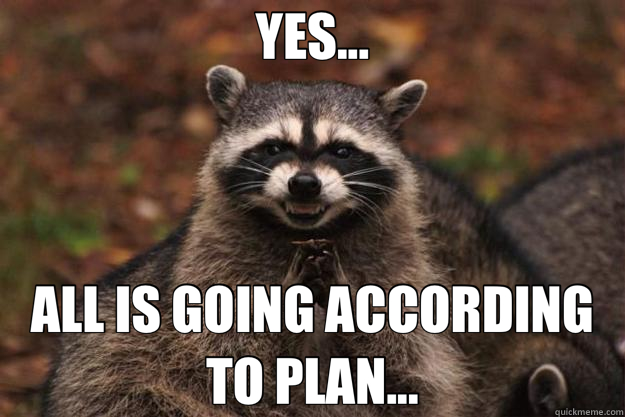 YES... ALL IS GOING ACCORDING TO PLAN... - YES... ALL IS GOING ACCORDING TO PLAN...  Evil Plotting Raccoon