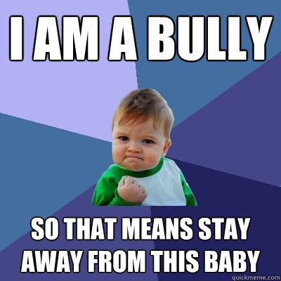 i am a bully  so that means stay away from this baby  Success Kid