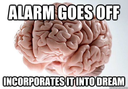 ALARM GOES OFF INCORPORATES IT INTO DREAM  - ALARM GOES OFF INCORPORATES IT INTO DREAM   Scumbag Brain