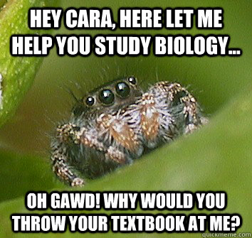 Hey Cara, here let me help you study biology... Oh gawd! Why would you throw your textbook at me? - Hey Cara, here let me help you study biology... Oh gawd! Why would you throw your textbook at me?  Misunderstood Spider