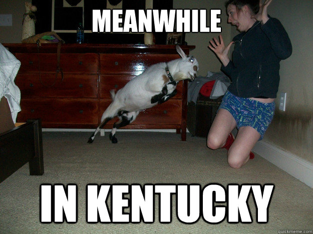 MEANWHILE IN KENTUCKY  